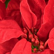 daiktų Dirbtinis augalas „Poinsettia Red“, 5 žiedai, 40 cm