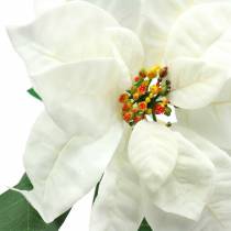 Puansetijos dirbtinė gėlė balta 67cm