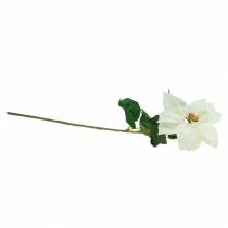 daiktų Puansetijos dirbtinė gėlė balta 67cm