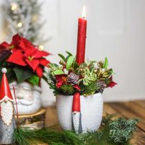 daiktų Kalėdinis puodas su nykštuku, advento puošmena, betoninė vazonė balta, raudona Ø8cm A12,5cm 2vnt.
