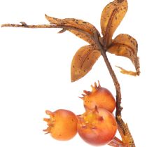 daiktų Dirbtinė gudobelės šakelė, rudens dekoracija, 75 cm