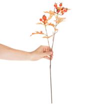 daiktų Dirbtinė gudobelės šakelė su lapais ir uogomis, 62 cm