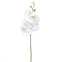 daiktų Balta dirbtinė orchidėja Phalaenopsis Real Touch 85cm