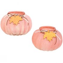 daiktų Žibintas stiklinis moliūgų arbatinis matinis Ø16cm H11cm 2vnt