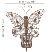 daiktų Metalinis žibintas, sienų dekoracija, drugelis, rūdžių spalvos, 36,5 cm