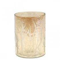 daiktų Lantern Glass Deco Trees Brown Tealight stiklas Ø9,5cm H13,5cm