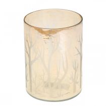 daiktų Lantern Glass Deco Trees Brown Tealight stiklas Ø9,5cm H13,5cm