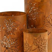 daiktų Rudens dekoravimo žibintas rust look H20/15/10cm rinkinys iš 3 vnt