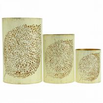 daiktų Rudens žibinto metalinė apdaila H20.5/15.5/10.5cm rinkinys iš 3 vnt.