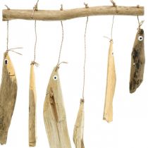 daiktų Jūrinės žuvies dekoravimas, dreifuojančio medžio vėjo varpeliai, medžio apdaila L50cm P30cm