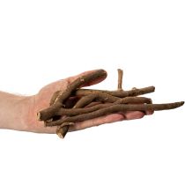 daiktų Dekoratyvinės medinės šakos ir poskiepiai, natūraliai džiovinti, 18 cm, 500 g