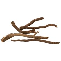 daiktų Dekoratyvinės medinės šakos ir poskiepiai, natūraliai džiovinti, 18 cm, 500 g