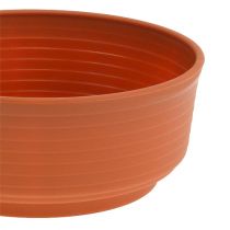 daiktų Z formos dubuo plastikinis 18cm 10 vnt