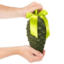 daiktų Dirbtinių pušies kankorėžių pakabukai su dovanų juostele ir kaspinu, 23 cm, 3 vnt.