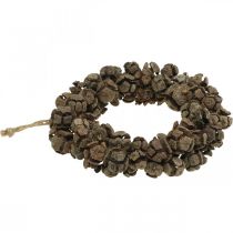 daiktų Kūgio vainikas kiparisas kūgio vainikas durų vainikas gamta Ø20cm