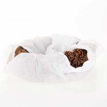 daiktų Ovalus pušies kankorėžio vazonas, 30 cm
