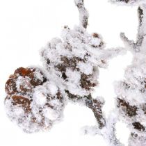 Kalėdų šaka deko šaka kūgio šaka pasnigo 72cm