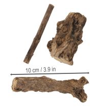 daiktų Žavios dekoratyvinės medinės šaknys jūsų namams