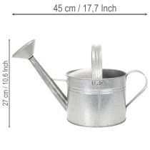 daiktų Vintažinis cinko laistytuvas, 27 cm - sodintuvas sodui ir terasai, metalinis gėlių vazonas