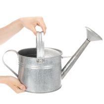 daiktų Vintažinis cinko laistytuvas, 27 cm - sodintuvas sodui ir terasai, metalinis gėlių vazonas