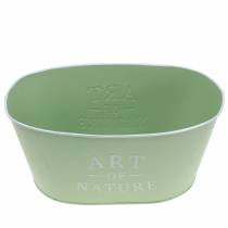 daiktų Gėlių dubuo ovalus cinko mėtų žalias 27×18cm H12,5cm