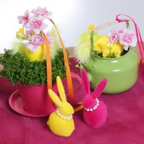 daiktų Sodinimo puodelis su lėkštute kūrybiniams sodams, 11 cm, 6 vnt.