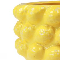 daiktų Sodintuvas citrininis keraminis dubuo sodinukas geltonas Ø26cm H12cm