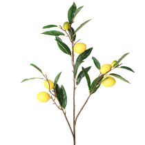daiktų Dirbtinė citrinos šakelė dirbtinė citrinos šakelė 91cm 2vnt