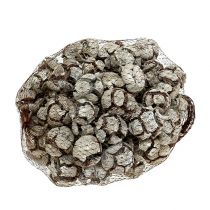 daiktų Kiparisų kankorėžiai 3 cm, balti, plauti, 500 g