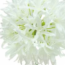 Dekoratyvinis svogūnas Allium dirbtinis baltas Ø12cm H62cm