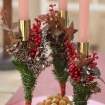 daiktų Uogų rinktuvai raudoni 23 cm 12 vnt.