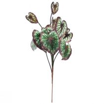 daiktų Begonija Dirbtiniai augalai Lapas Begonijos Žalia Violetinė 62cm