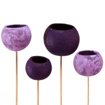 daiktų Varpelio taurė ant pagaliuko Egzotiška sausa dekoracija Violetinė Uoga 44cm 15 vnt