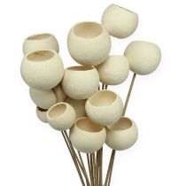 Bell Cup Mix balintas ant pagaliuko 15vnt