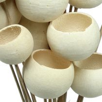 Bell Cup Mix balintas ant pagaliuko 15vnt