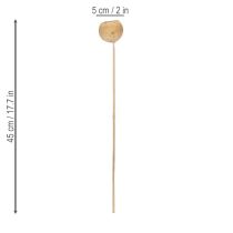 daiktų „Bell Cup“ mišinys ant kotelio, natūralios egzotinės veislės, 15 vnt.