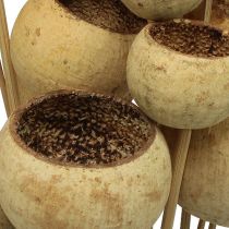 daiktų Varpelio puodelis Mišinys ant pagaliuko Natural Exotics 15 vnt