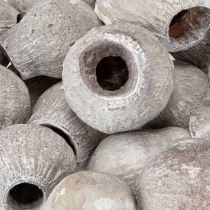 daiktų Bellgums baltai dažyti 2cm - 5cm 500g