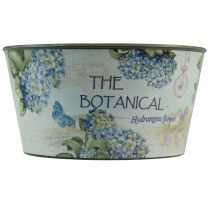 daiktų Sodinamosios hortenzijos gėlių dubuo apvalus plastikinis Ø21cm H11cm