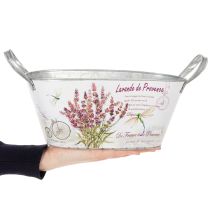 daiktų Ovalus metalinis gėlių dubuo su rankenomis, levandų spalvos, 32 × 15 × 15 cm