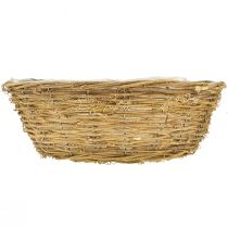 daiktų Didelis gėlių vazonas, sodinimo krepšelis su vijokliais, Ø40cm, aukštis 13cm, natūralus dekoras, stalo puošmena, unikalus gaminys