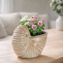 daiktų Keraminis gėlių vazonas su sraigės raštu ypatingoms augalų kompozicijoms, 21 cm