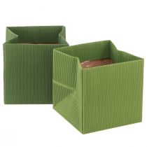 daiktų Gėlių maišelis žalias alyvuogių žalias briaunotas su folija 10,5cm 6 vnt