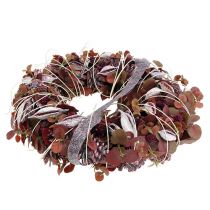 daiktų Brachyciton gervuogių glajus 500g