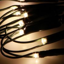 daiktų Šviesos tinklelis išorėje buksmedžio lemputės 60 LED Ø35cm
