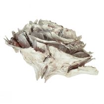 daiktų Kedro spurgai supjaustyti kaip rožių kedro rožė 4-6cm balta/natūrali 50 vnt