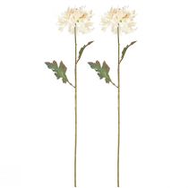 daiktų Chrysanthemum Dirbtinių dekoratyvinių gėlių kremas L72cm 2vnt