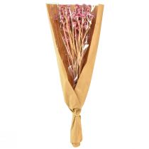 daiktų Curry Herb Immortelle Artificial Pink L28cm 12 vnt 1 kek