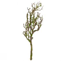 daiktų Dekoratyvinė šakelė su samanomis dirbtine rudens puošmena pilkai žalia L78cm