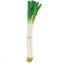 daiktų Dekoratyvinės daržovės laiškiniai svogūnai žalia balta Ø1cm L28cm 3 vnt